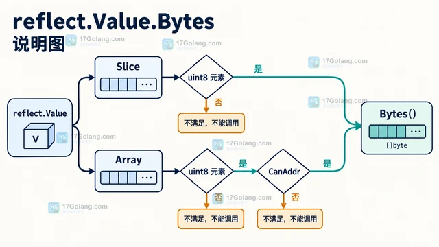 Go reflect.Value.Bytes 读取字节数组时的可寻址处理