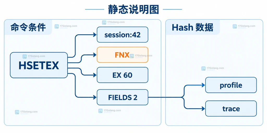 HSETEX、FNX、EX 60、FIELDS 2 与两个 Hash 字段的参数关系静态说明图