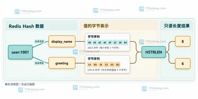 Redis HSTRLEN 怎样读取哈希字段值的字节长度
