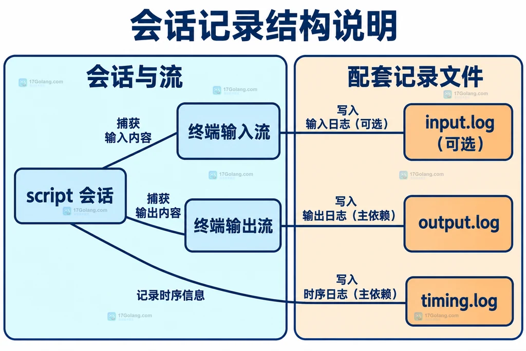 script 会话与输入输出时序三份记录的静态关系