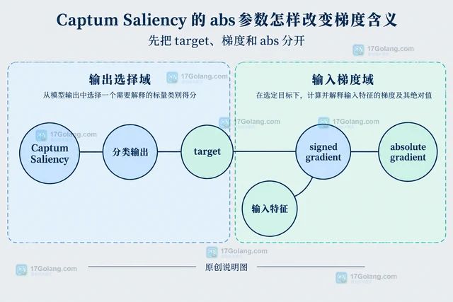 Captum Saliency 的 abs 参数怎样改变梯度含义