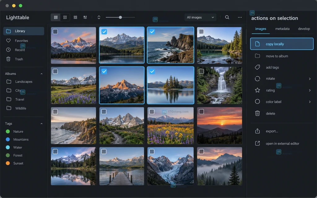 darktable Lighttable 中 actions on selection 的 copy locally 操作示意图