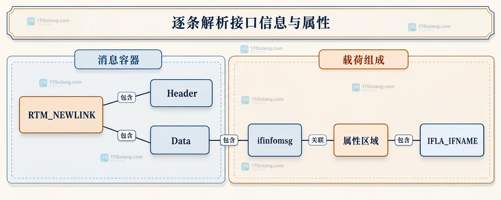 RTM_NEWLINK消息与固定头及接口名称属性的组成关系