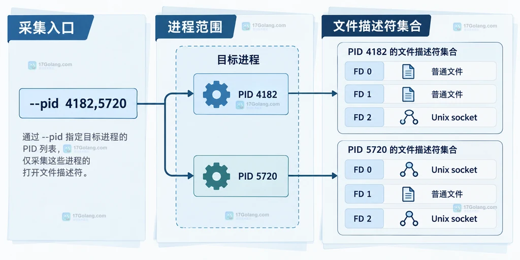 Linux lsfd 按 PID 限定进程与文件描述符采集范围的结构说明图