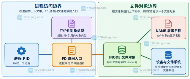 Linux lsfd 的文件描述符号与inode号有什么区别