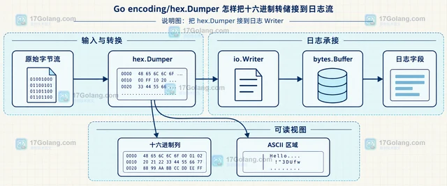 Go encoding/hex.Dumper 怎样把十六进制转储接到日志流