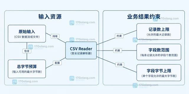 Go CSV 变长记录如何做输入约束