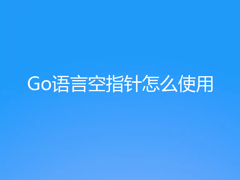 Go语言空指针怎么使用
