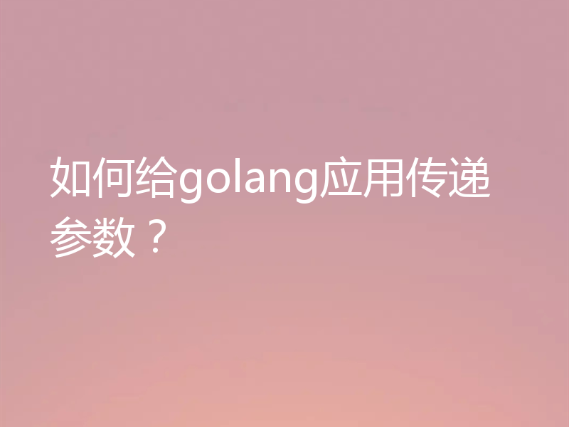 如何给golang应用传递参数?