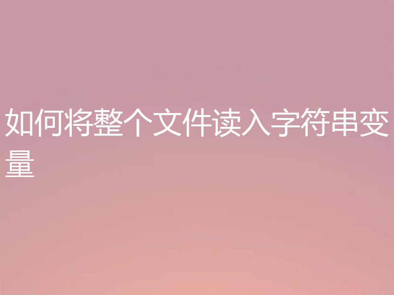 如何将整个文件读入字符串变量