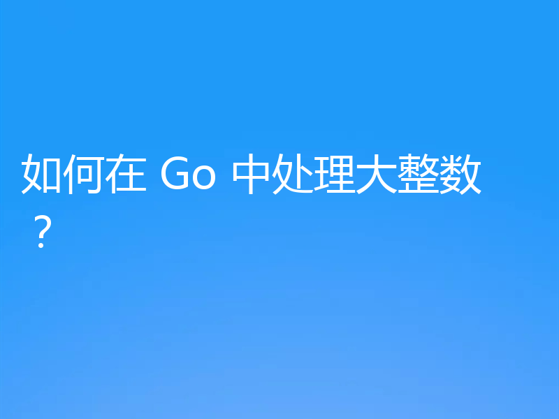 如何在 Go 中处理大整数?