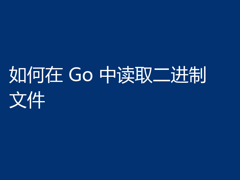 如何在 Go 中读取二进制文件