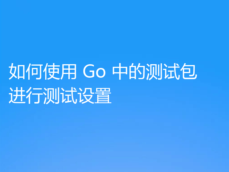 如何使用 Go 中的测试包进行测试设置