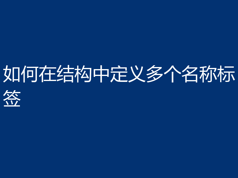 如何在结构中定义多个名称标签