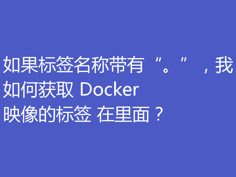 如果标签名称带有“。”,我如何获取 Docker 映像的标签 在里面?
