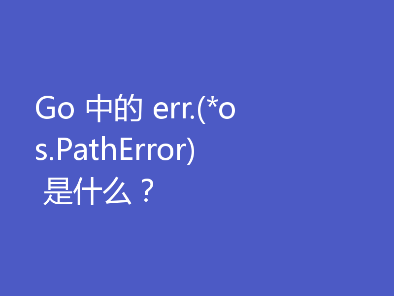 Go 中的 err.(*os.PathError) 是什么?