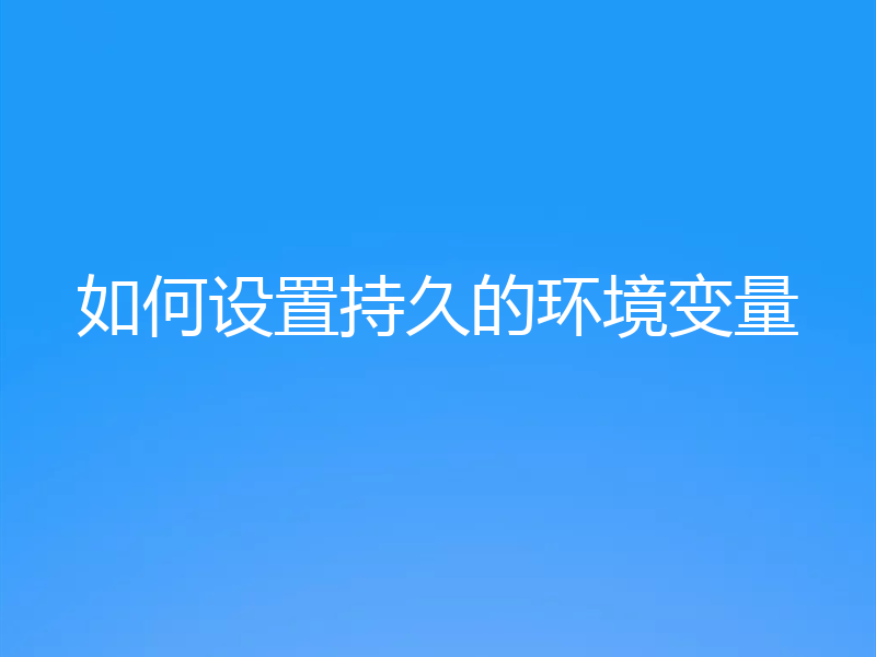 如何设置持久的环境变量