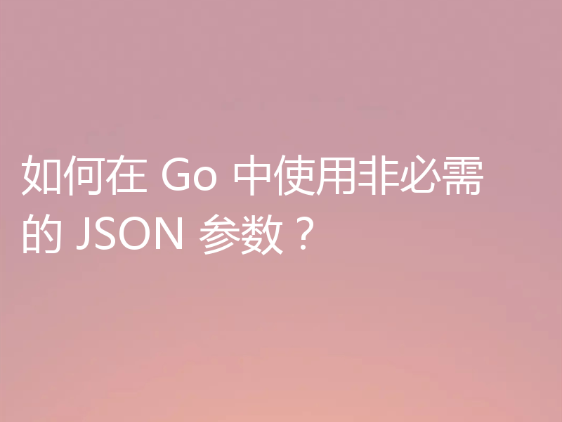 如何在 Go 中使用非必需的 JSON 参数?