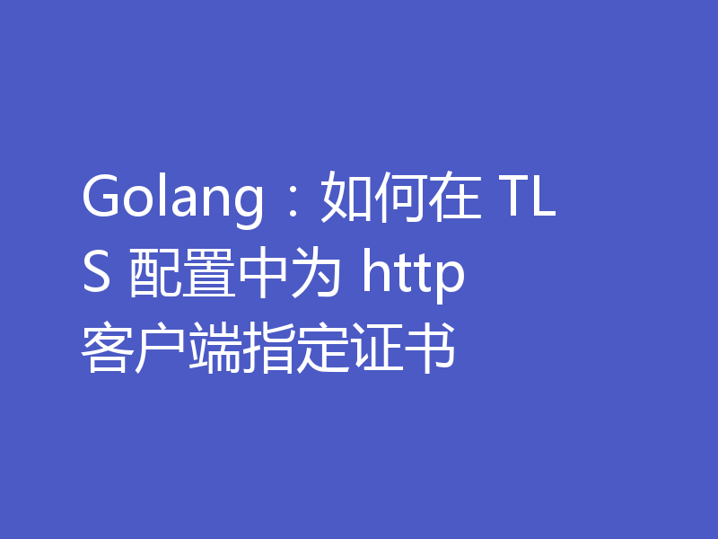 Golang:如何在 TLS 配置中为 http 客户端指定证书