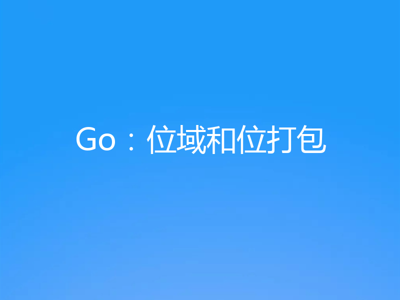 Go:位域和位打包