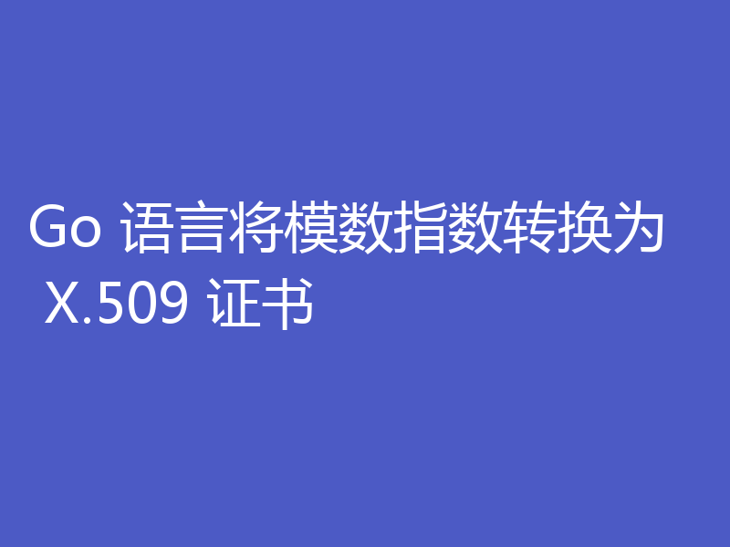Go 语言将模数指数转换为 X.509 证书