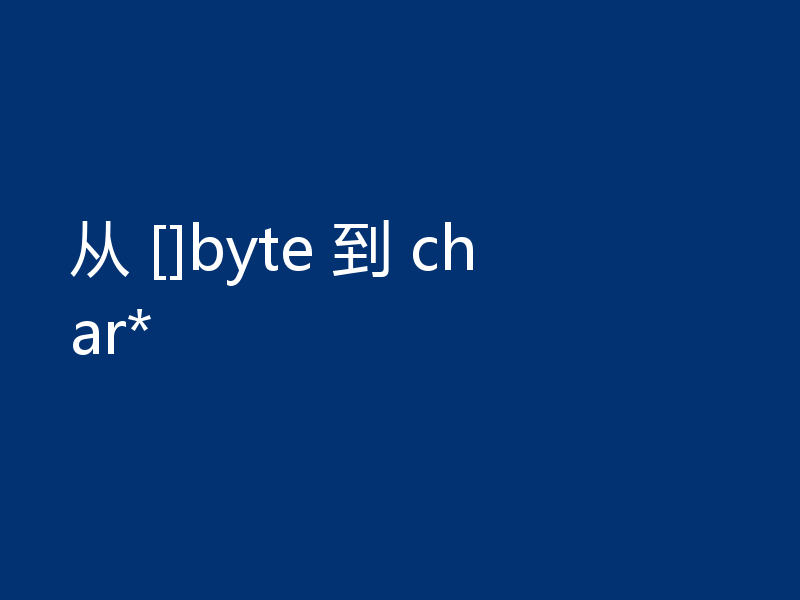 从 []byte 到 char*