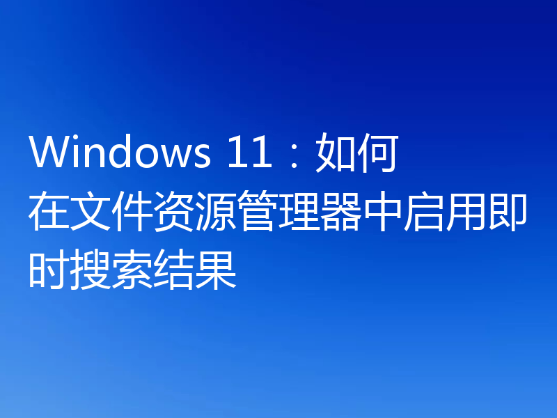 Windows 11:如何在文件资源管理器中启用即时搜索结果