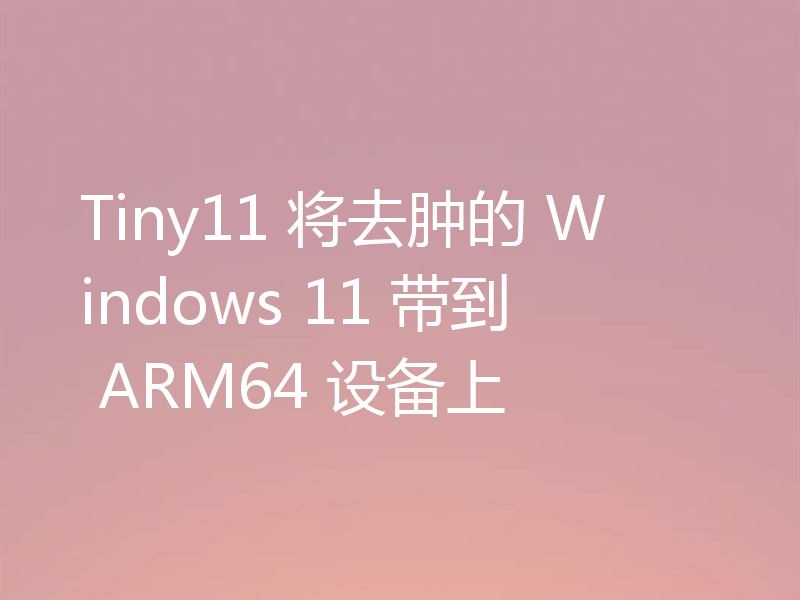 Tiny11 将去肿的 Windows 11 带到 ARM64 设备上