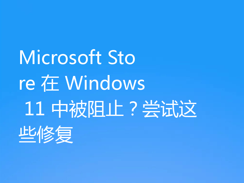 Microsoft Store 在 Windows 11 中被阻止?尝试这些修复