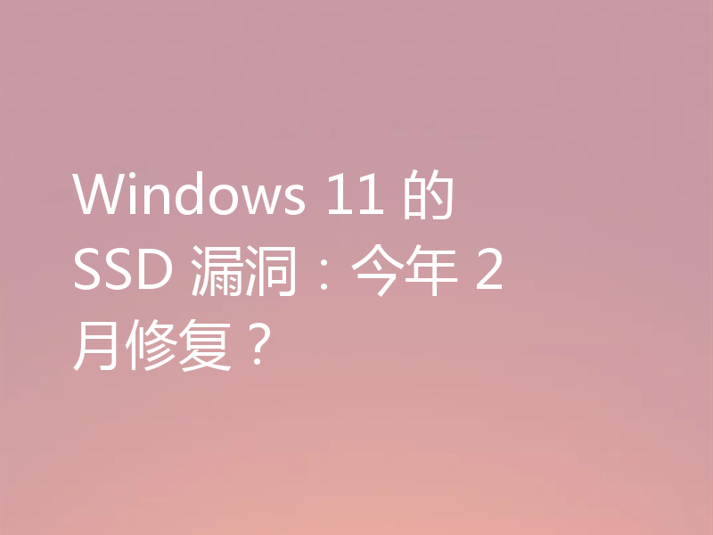 Windows 11 的 SSD 漏洞:今年 2 月修复?
