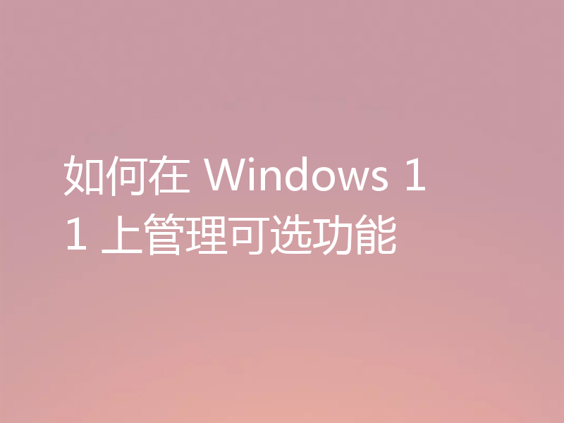 如何在 Windows 11 上管理可选功能