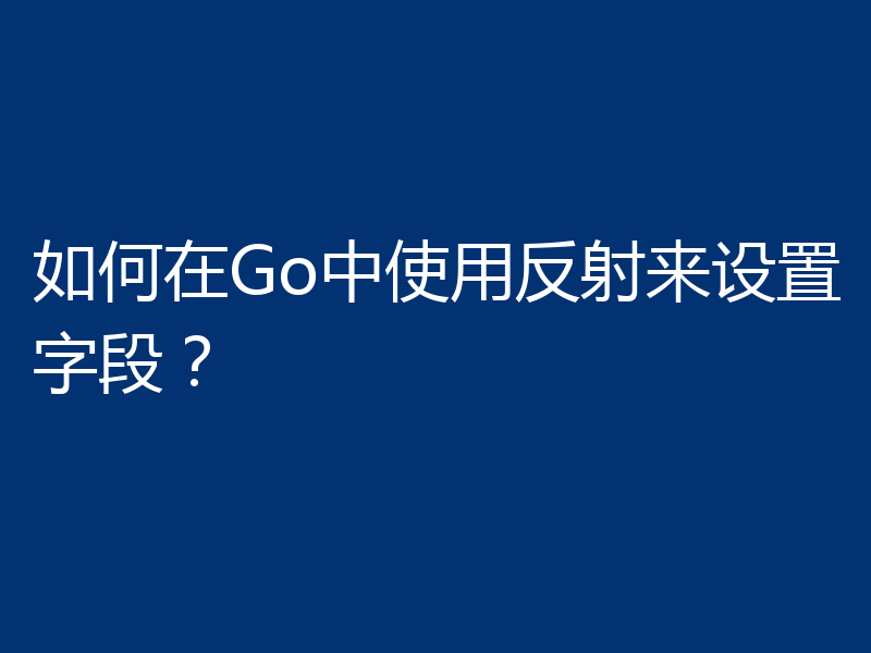 如何在Go中使用反射来设置字段?
