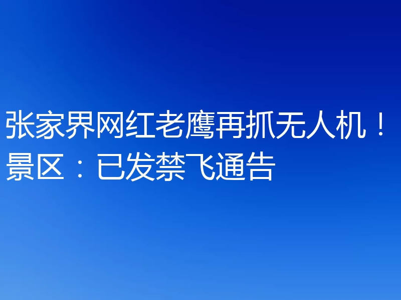 张家界网红老鹰再抓无人机!景区:已发禁飞通告