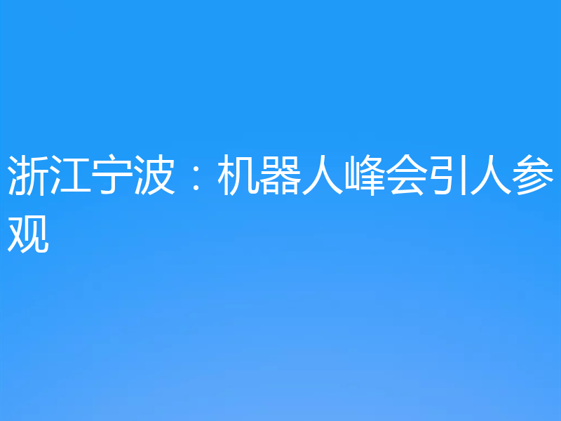 浙江宁波:机器人峰会引人参观