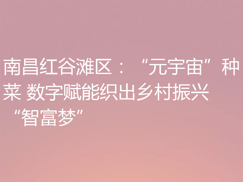南昌红谷滩区:“元宇宙”种菜 数字赋能织出乡村振兴“智富梦”