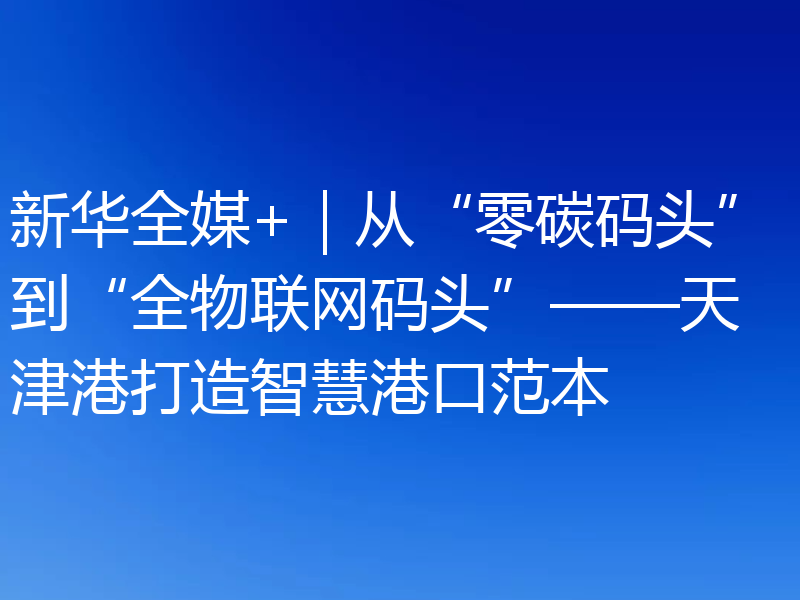 新华全媒+|从“零碳码头”到“全物联网码头”——天津港打造智慧港口范本
