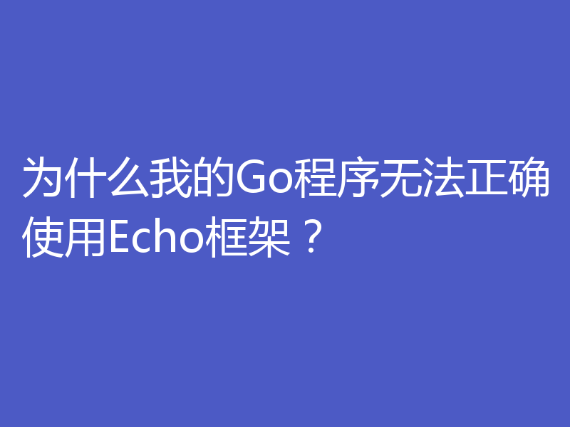 为什么我的Go程序无法正确使用Echo框架?