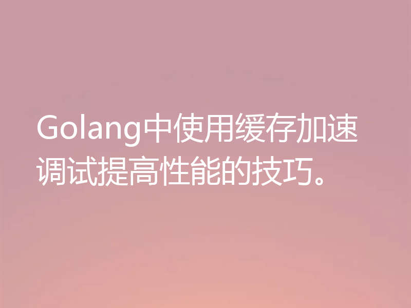 Golang中使用缓存加速调试提高性能的技巧。