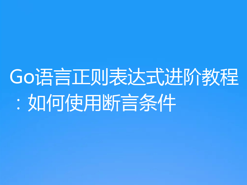 Go语言正则表达式进阶教程:如何使用断言条件