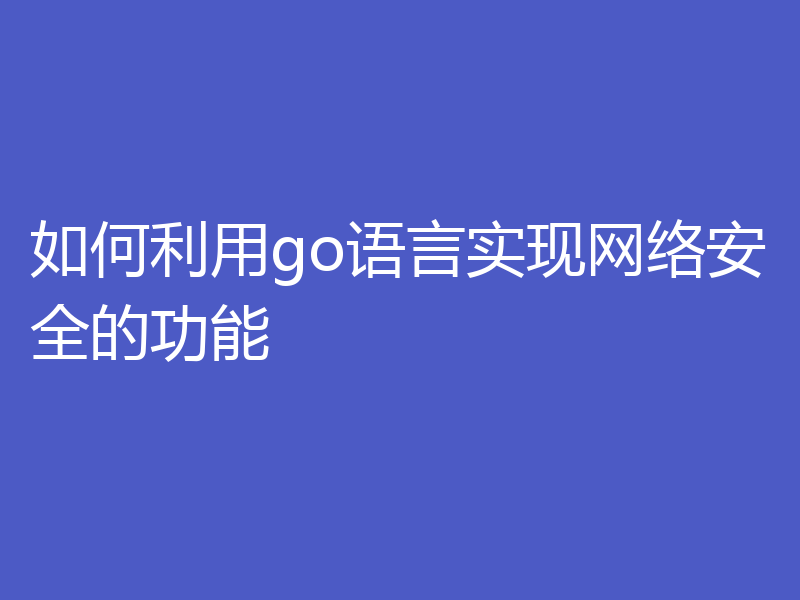如何利用go语言实现网络安全的功能