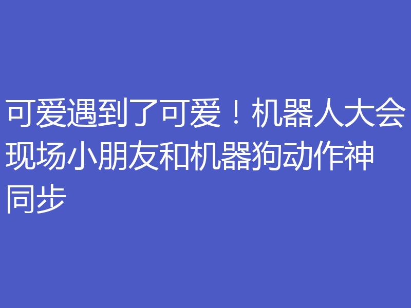 可爱遇到了可爱!机器人大会现场小朋友和机器狗动作神同步