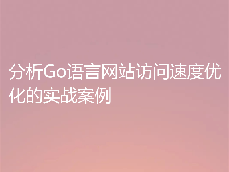 分析Go语言网站访问速度优化的实战案例