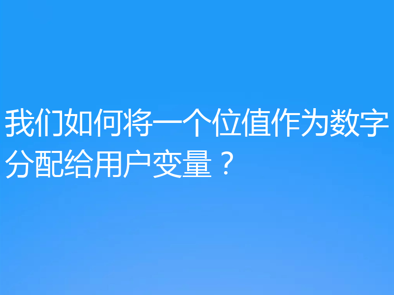我们如何将一个位值作为数字分配给用户变量?
