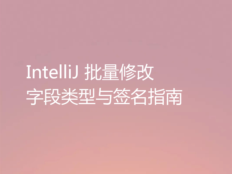 IntelliJ 批量修改字段类型与签名指南