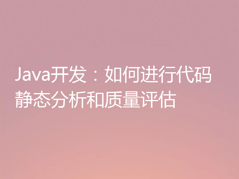 Java开发:如何进行代码静态分析和质量评估