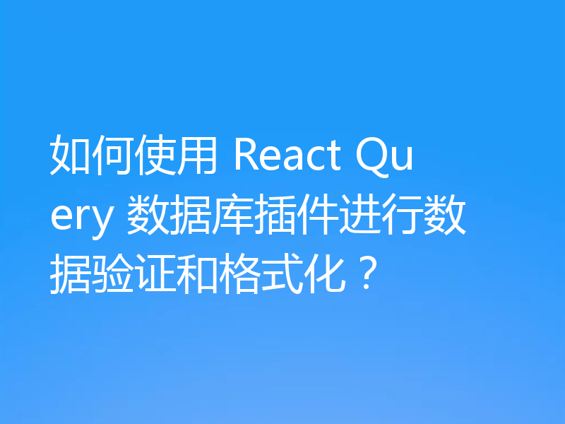 如何使用 React Query 数据库插件进行数据验证和格式化?