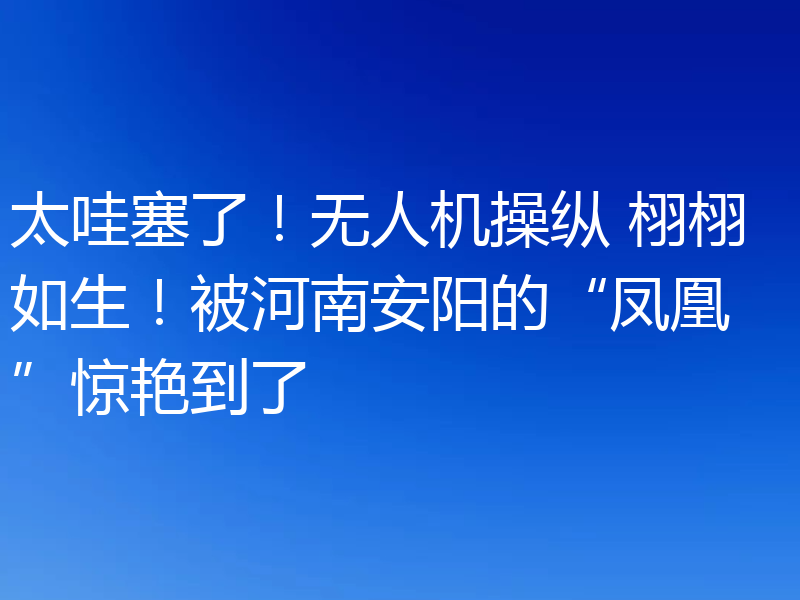 太哇塞了!无人机操纵 栩栩如生!被河南安阳的“凤凰”惊艳到了