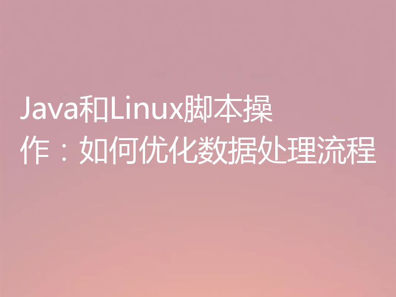 Java和Linux脚本操作:如何优化数据处理流程