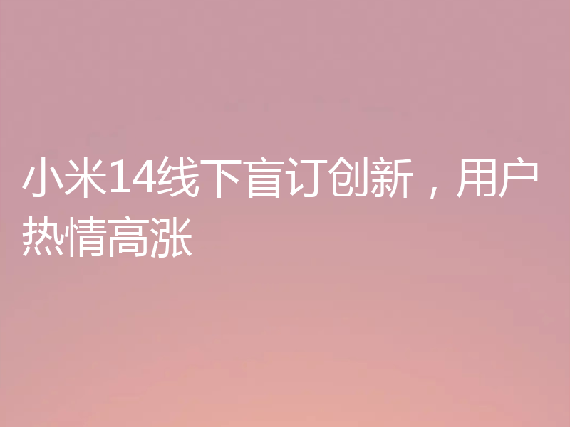 小米14线下盲订创新,用户热情高涨