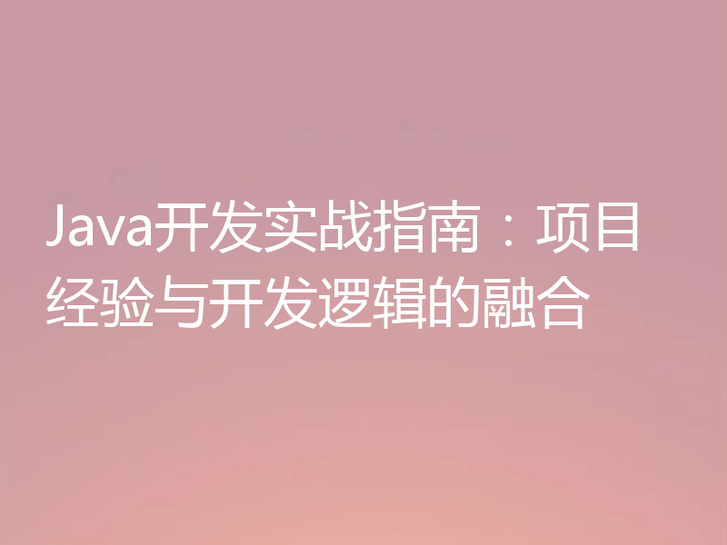 Java开发实战指南:项目经验与开发逻辑的融合